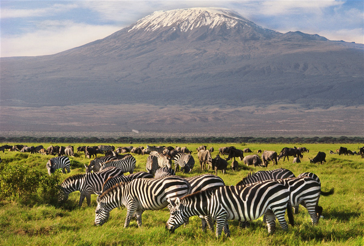 11 Days Great Lakes & Masai Mara