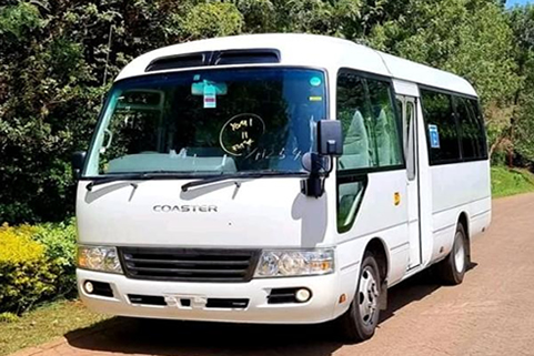 Rosa Bus