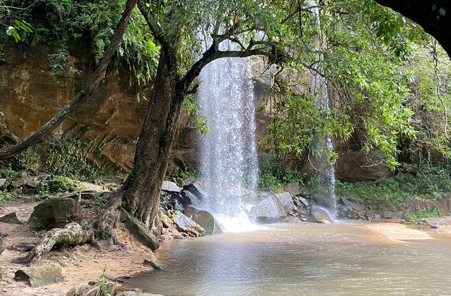Shimba Hills