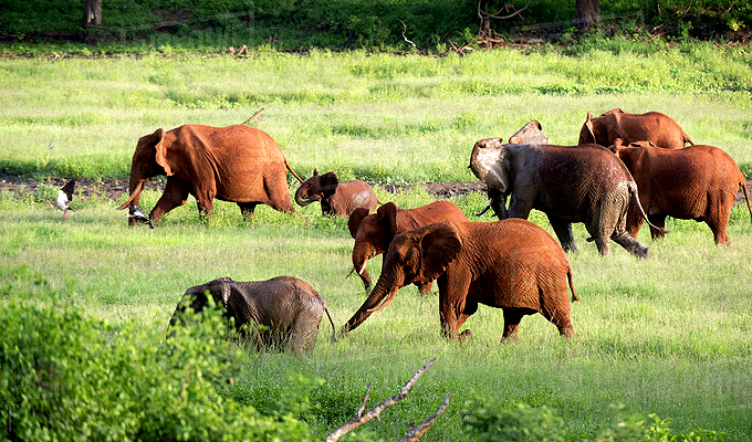 4 Days Aberdare & Samburu Safari